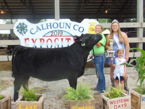 Champion Commercial Breeding Heifer and Grand Champion Breeding Heifer Peyton Lenz