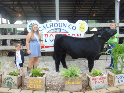 Champion Market Steer Peyton Lenz