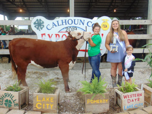 Champion Purebred Breeding Heifer Payton Macke 