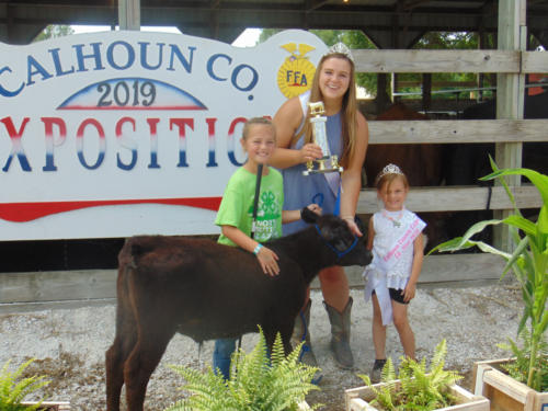 Reserve Champion Bucket Bottle Calf Bailey Stuart