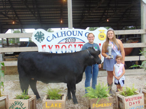 Reserve Champion Commercial Breeding Heifer Sally Musselman