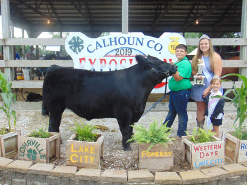 Reserve Champion Market Steer Troy Condon